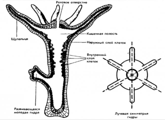 Кракен сайт 16